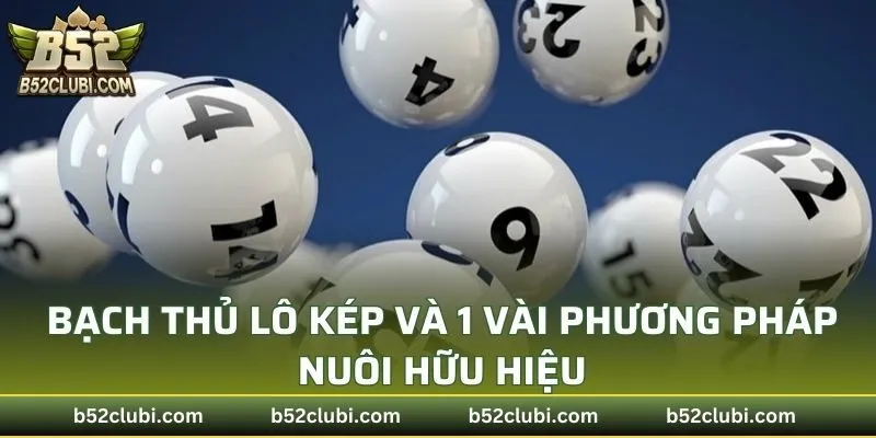 Bạch Thủ Lô Kép