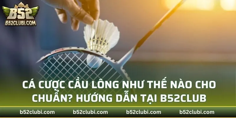 Cá Cược Cầu Lông