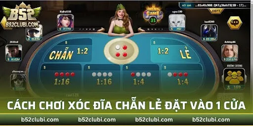 Cách chơi xóc đĩa chẵn lẻ đặt vào 1 cửa