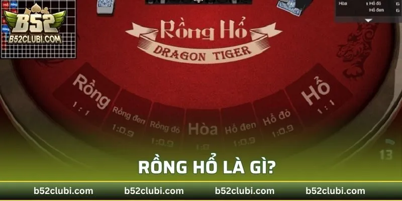 Rồng hổ là gì?